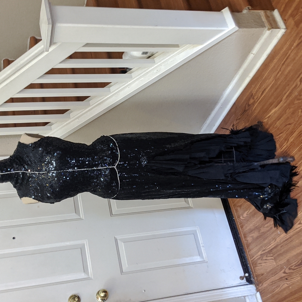 Sequin and feather 2 piece dress gown